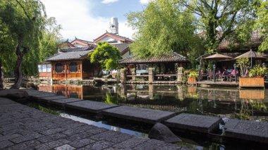 动物帮帮忙保卫家园